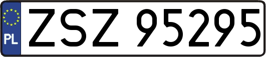 ZSZ95295