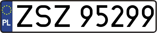 ZSZ95299