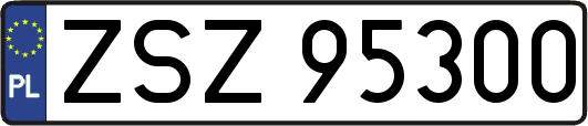 ZSZ95300