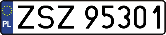 ZSZ95301