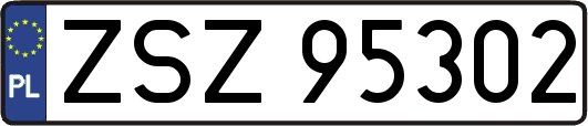 ZSZ95302