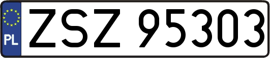 ZSZ95303