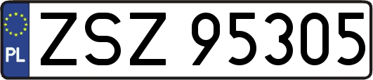 ZSZ95305