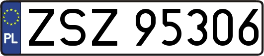 ZSZ95306