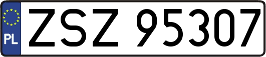 ZSZ95307