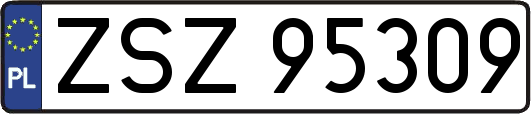 ZSZ95309