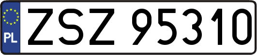 ZSZ95310