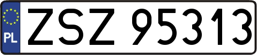 ZSZ95313