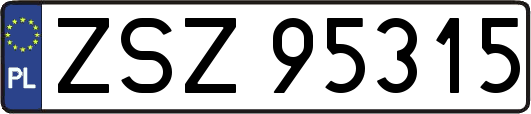 ZSZ95315