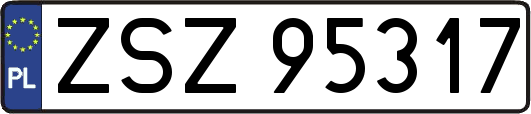 ZSZ95317