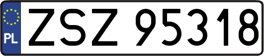 ZSZ95318