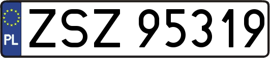 ZSZ95319