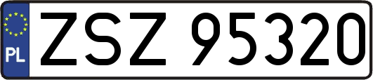 ZSZ95320