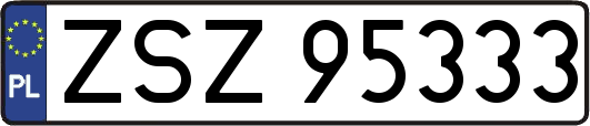 ZSZ95333