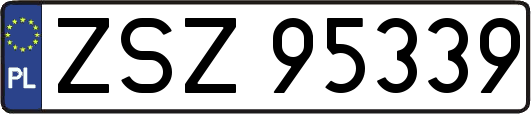 ZSZ95339