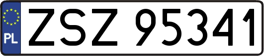 ZSZ95341