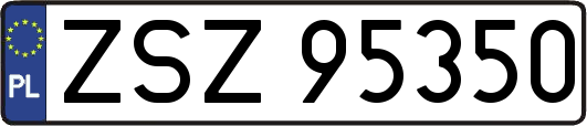 ZSZ95350