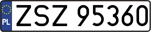 ZSZ95360