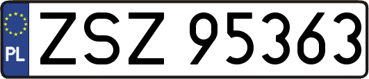 ZSZ95363