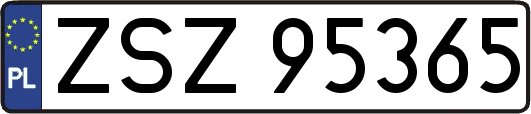 ZSZ95365