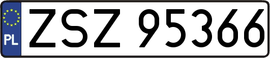 ZSZ95366