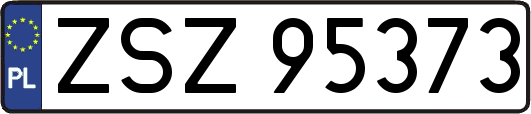 ZSZ95373