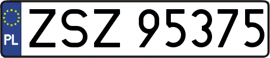 ZSZ95375