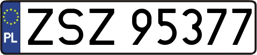 ZSZ95377