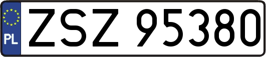 ZSZ95380