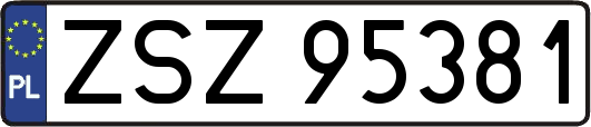 ZSZ95381
