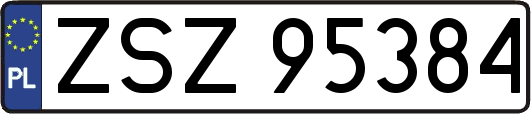ZSZ95384
