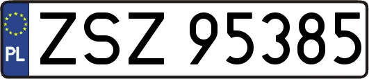 ZSZ95385