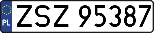 ZSZ95387