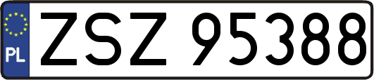 ZSZ95388