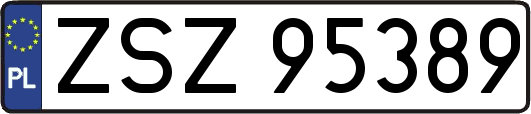 ZSZ95389