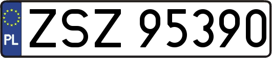 ZSZ95390