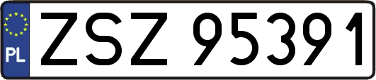 ZSZ95391