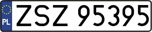 ZSZ95395