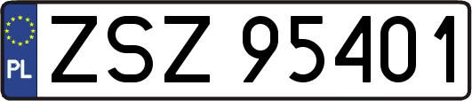 ZSZ95401