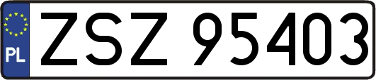 ZSZ95403