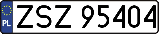 ZSZ95404