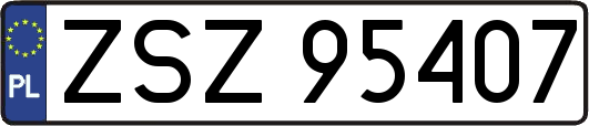 ZSZ95407