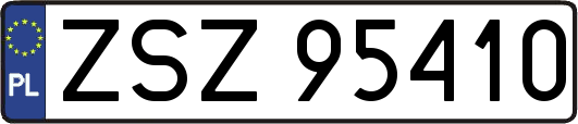 ZSZ95410