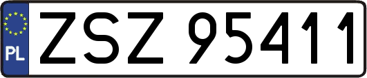 ZSZ95411