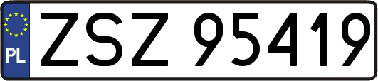 ZSZ95419