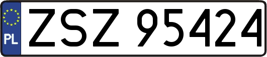 ZSZ95424