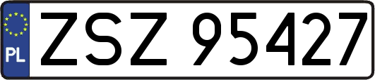 ZSZ95427