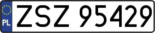 ZSZ95429