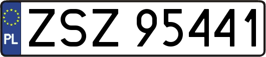 ZSZ95441