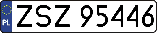 ZSZ95446